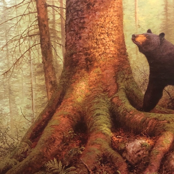 🐻 Woodsy Puzzle “The Awakening” - Picture 5 of 6